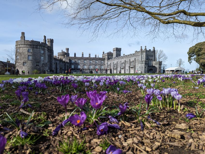 Kilkenny: Historical Highlights Walking Tour - What to Wear, How to Manage Steps, and Who This Tour Suits Best