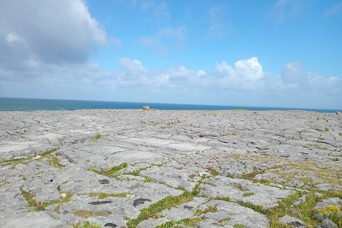 Private Day Tour Cliffs of Moher from Dublin - Burren chocolate factory stop: a sweet break that actually fits