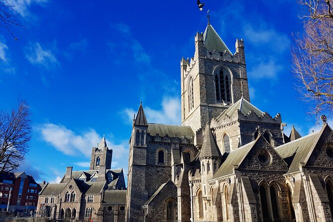 Private Fantastic Walking Tour of Dublin - A 3-hour Dublin starter walk that stays flexible
