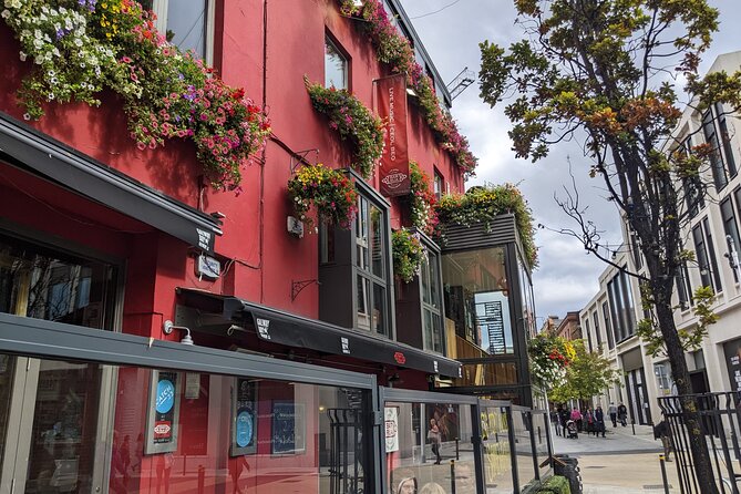 Private Guided Tour of Dublin in French - Merrion Square and the Georgian Dublin you can actually picture