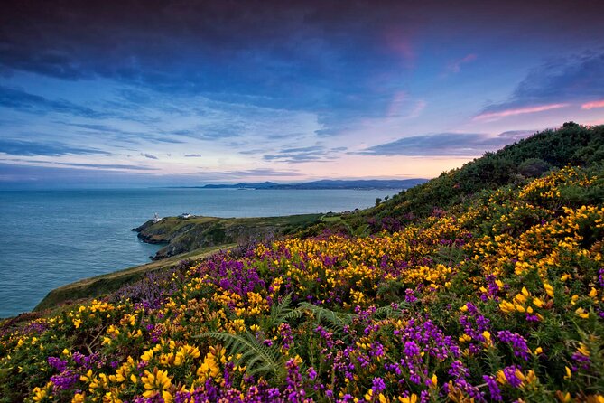 Private Howth Coastal Walk - Balscadden House and Yeats links: How literature fits the coast