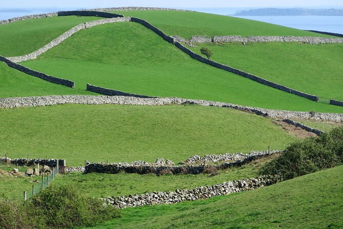 Private Luxury Tour of Newgrange and The Hill of Tara - Comfort and guide style: the difference between information and a good day
