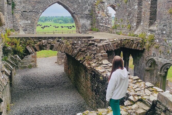 Private Tour from Dublin: Hill of Tara Trim Castle, Celtic sites - Trim Castle and the medieval town of Trim: Norman drama with real breathing room