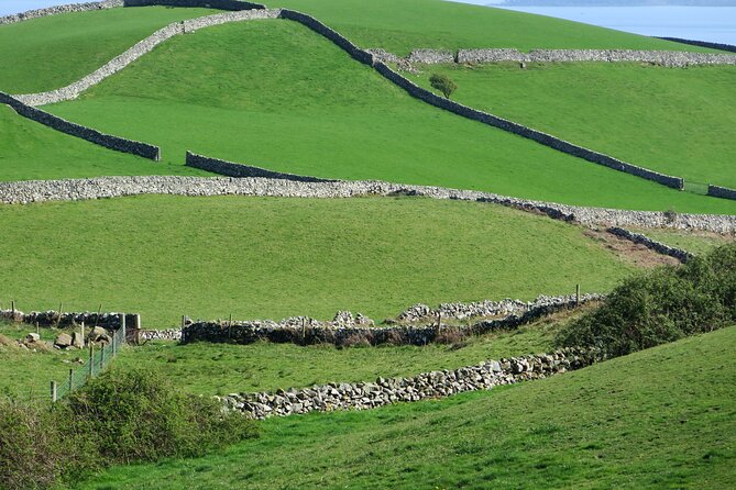 Private Tour of Newgrange and The Hill of Tara - Price and Value: What $780.91 Buys for Up to 3
