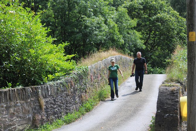 Private Wicklow Mountains Day Tour - National Botanic Gardens, Kilmacurragh, a calmer finish before Dublin