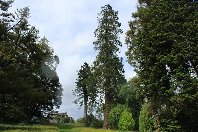 Private Wicklow Mountains Day Tour - What the guide experience actually changes in your day