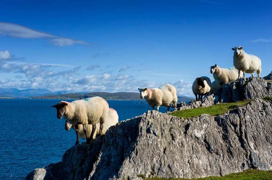 Private Wild Atlantic Day Tour from Cork - A Cork-to-the-Wild-Atlantic private day you can actually shape