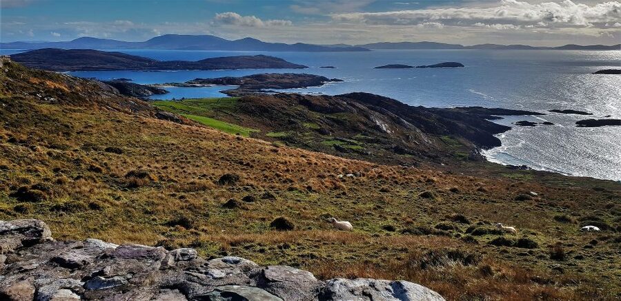 Rail Tour from Dublin: The Ring of Kerry - FAQ