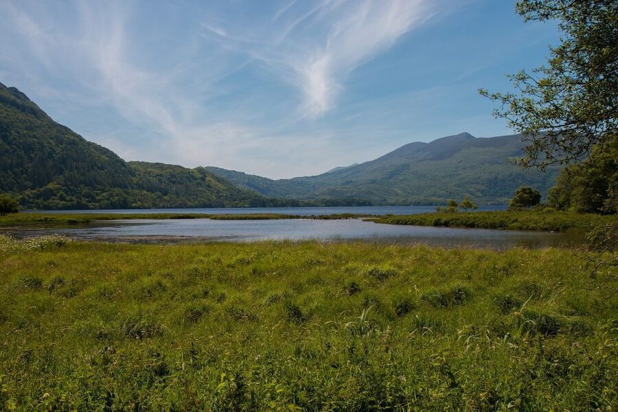 Rail Tour from Dublin: The Ring of Kerry - Price and value: does $158 buy enough to make it worth it?