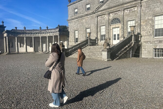 Sheepdogs in the countryside, authentic Dubliners city tour combo - Phoenix Park: deer spotting and a hurling wink