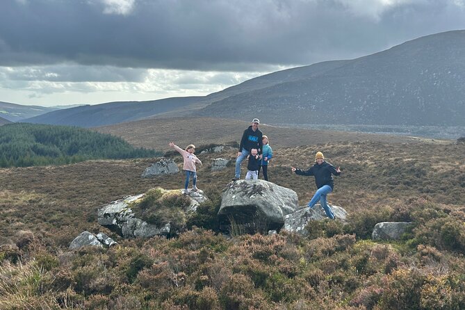 Sheepdogs in the countryside, authentic Dubliners city tour combo - Temple Bar optional drop-off for live music energy