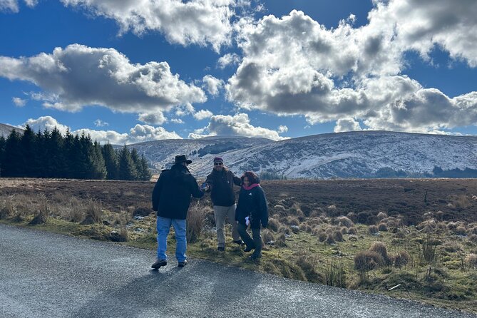 Sheepdogs in the countryside, authentic Dubliners city tour combo - Private pickup and an 8-hour rhythm that keeps you comfortable