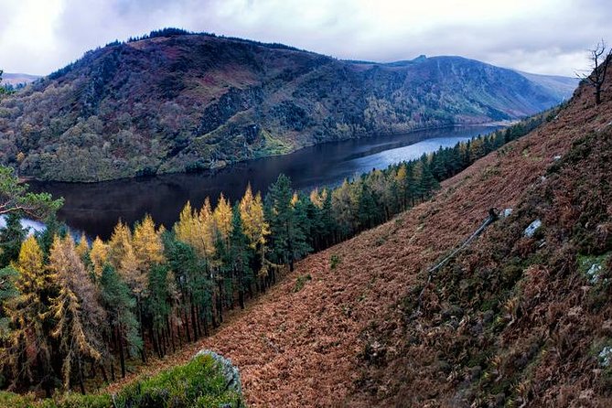 (Small Group) Shore Tour from Dublin:Dublin Highlights and Glendalough Day Trip - Lunch, shopping, and how to avoid a timing squeeze