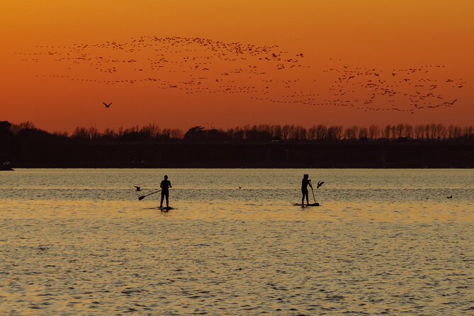 Sunset SUP experience in Malahide, Dublin - Key highlights you should know before you go