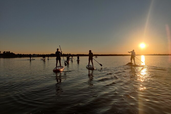 Sunset SUP experience in Malahide, Dublin - The safety briefing that makes SUP feel doable for beginners