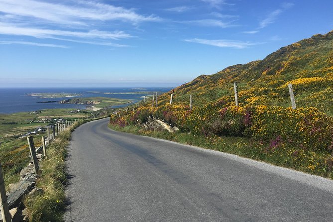 Sustainable Connemara and Galway Bay Rail Tour from Dublin - Roundstone Harbor Seafood Lunch Stop (Own Expense)