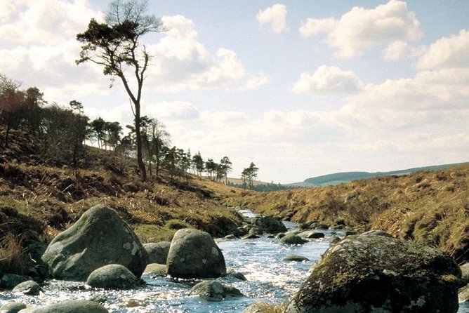 The Original Award Winning Wild Wicklow Tour incl. Glendalough - The return to Dublin and the Glendalough whiskey touch