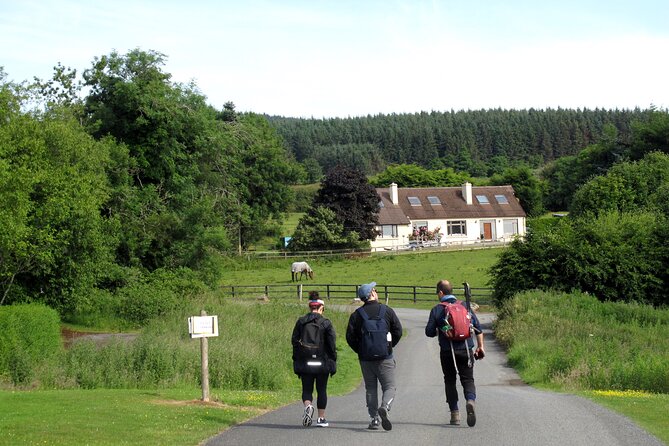 Trek the Tombs and Trails in the Dublin Mountains - The Tibradden Ridge Walk: Stone Circle, a Mountain Named for a Man, and Ridge Views