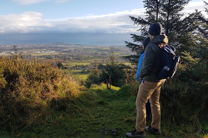 Trek the Tombs and Trails in the Dublin Mountains - Evergreen Forest Descent and The Hazel House Area: A Calmer Pace After the Ridges