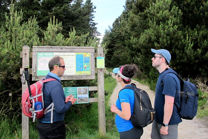 Trek the Tombs and Trails in the Dublin Mountains - How Hard Is This Hike, and What Should You Bring?