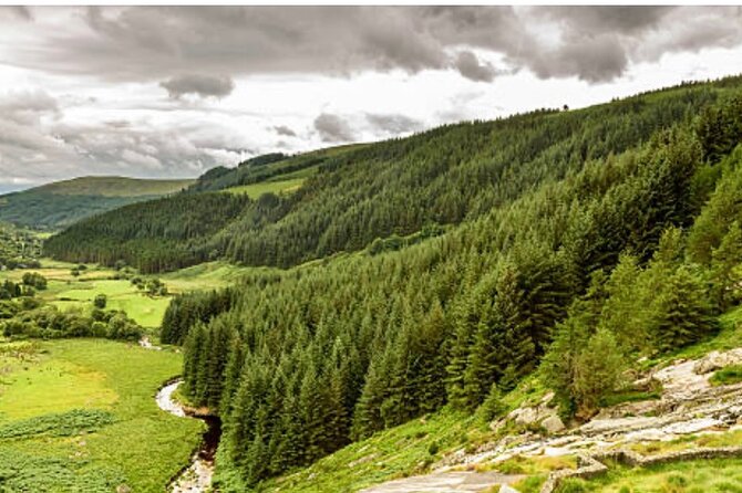 Wicklow and Glendalough Private Chauffeured Sightseeing Tour - Price and value: what you are paying for, and who it fits best