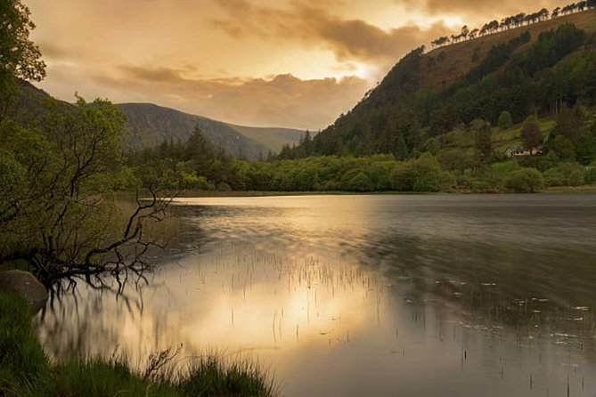Wicklow Mountains & Glendalough Luxury Private Day Tour - Powerscourt Estate: The House and Gardens You Actually Want to See
