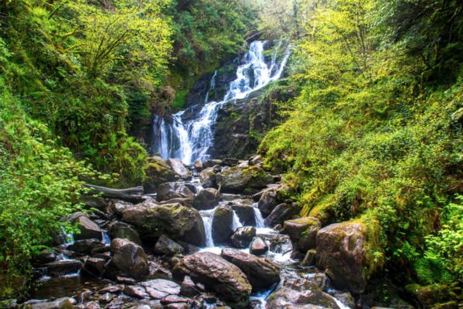 Wicklow Mountains & Glendalough Luxury Private Day Tour - Powerscourt Waterfall: A Short Stop With a Big Nature Feel