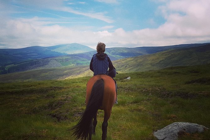 Wicklow Mountains Horse Trekking - Key Highlights You Should Know Before You Go