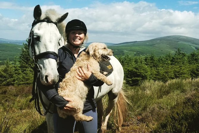 Wicklow Mountains Horse Trekking - The Short Lesson That Makes (Almost) Everyone Comfortable