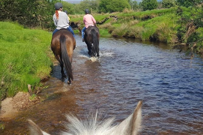 Wicklow Mountains Horse Trekking - Wicklow Mountains and Kings River Valley: What You’re Actually Doing