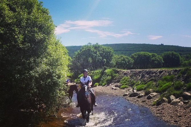 Wicklow Mountains Horse Trekking - Pace, Timing, and the Comfort of a Six-Person Max