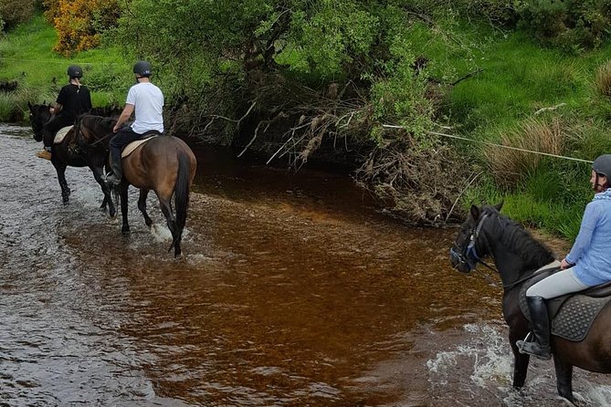 Wicklow Mountains Horse Trekking - Weather, Rain, and What You Should Pack for Wicklow