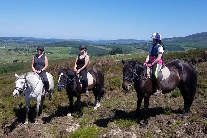 Wicklow Mountains Horse Trekking - Price and Value: Is $90.70 a Good Deal?
