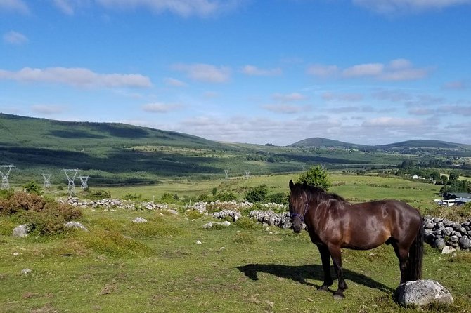 Wicklow Mountains Horse Trekking - Your Start Point at Hollywood Horse and Pony Trekking
