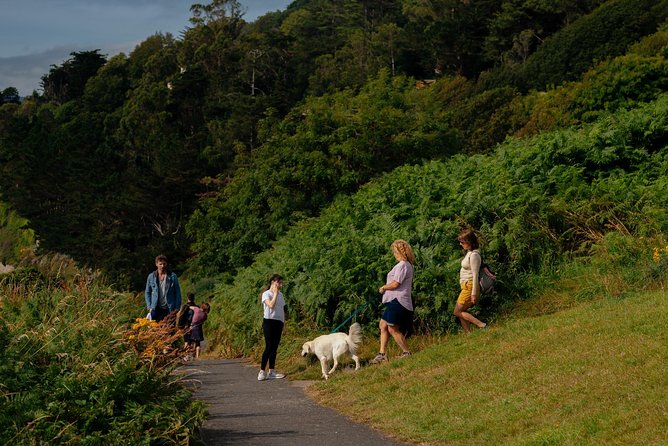 Wicklow Mountains Private Day Trip from Dublin - Powerscourt Waterfall: deciding if the optional ticket is worth it