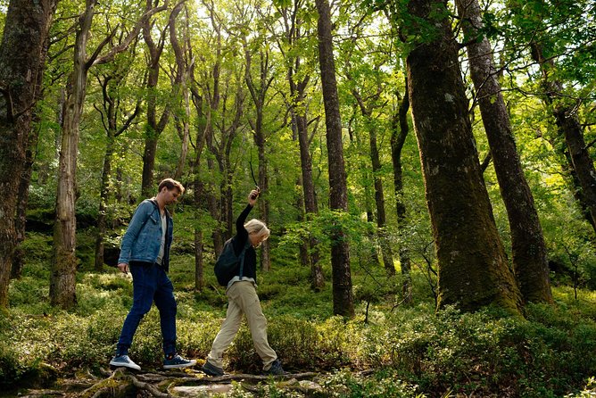 Wicklow Mountains Private Day Trip from Dublin - How your route can change based on your host