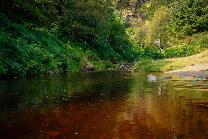 Wicklow Mountains Private Day Trip from Dublin - Price and value: why this is more than a cheap ride out of Dublin