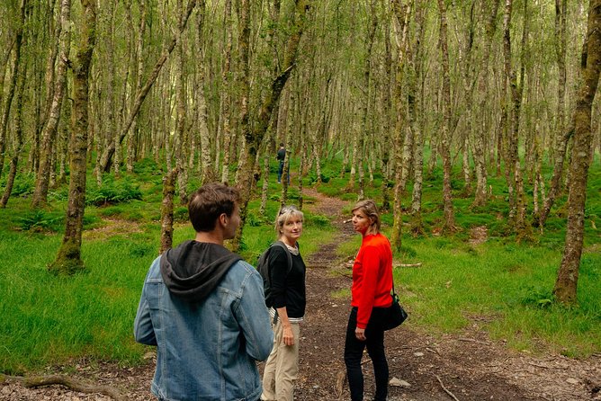 Wicklow Mountains Private Day Trip from Dublin - Best for who: the kinds of travelers who will love it