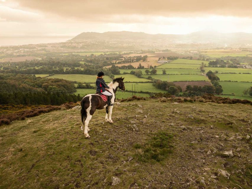 Wicklow: Private Day Tour from Dublin - Lunch Near Glendalough: A Rural Pub Stop With Local Food