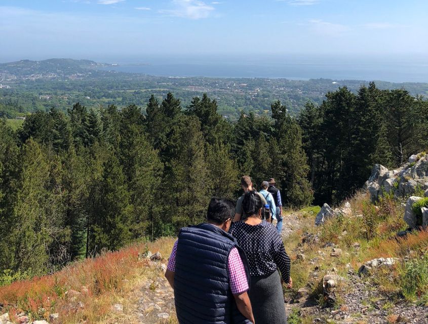 Wicklow: Private Day Tour from Dublin - Wicklow Mountains National Park Scenic Stops, Plus Film Location Trivia