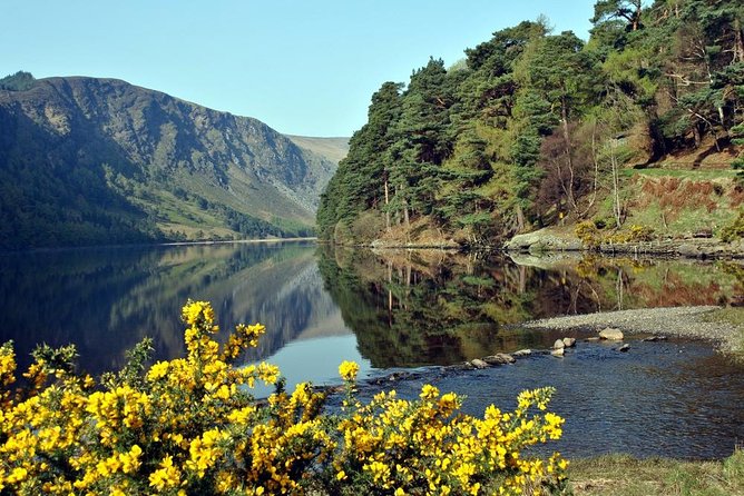 Wicklow tour of Glendalough - Avoca Woollen Mills and Coffee Time: Real Shopping Without the Guesswork